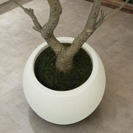 Calyva Faux Olive Tree image 5