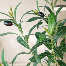 Calyva Faux Olive Tree image 4